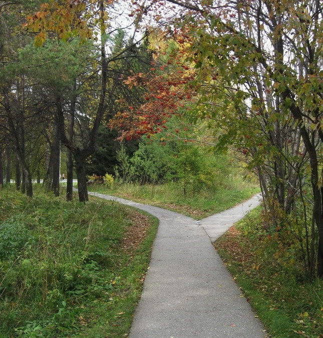 Which Path Will You Choose?