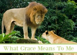 What Grace Means To Me; A Fallible Mom